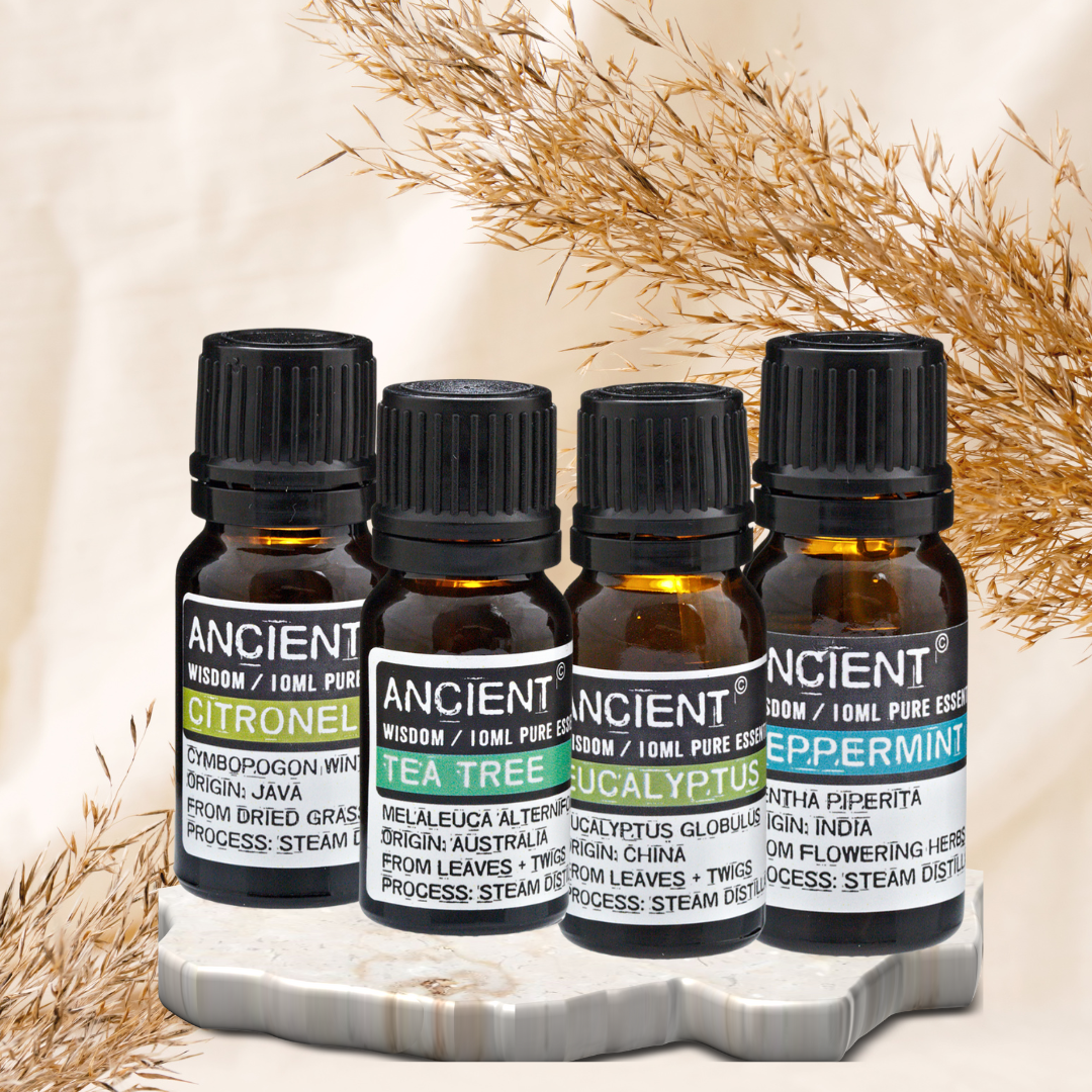 Kit Favoritos de 10 Aceites Esenciales Original Nature's Oils – Bienat  Aromaterapia México